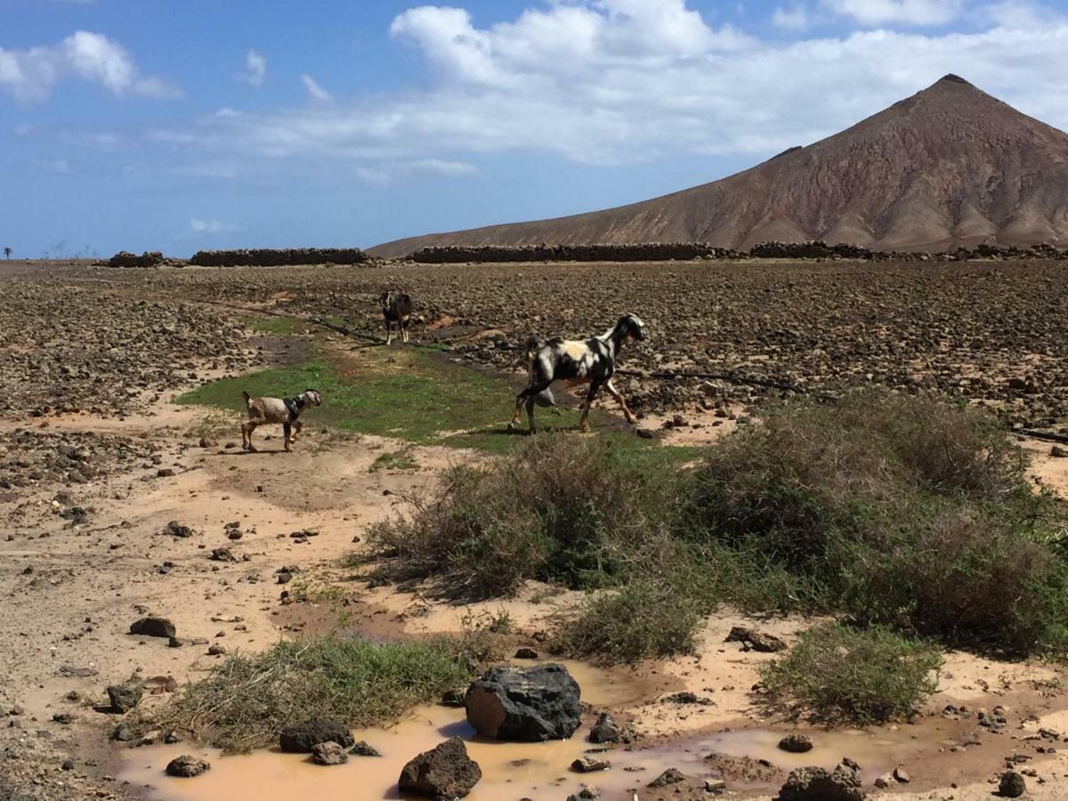 Appartamento Casa Carlotta Lajares Esterno foto